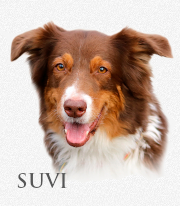Suvinka_logo1