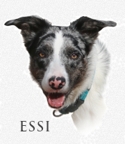 Esia_logo