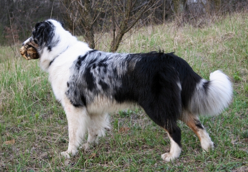 Asti23,5m_kij