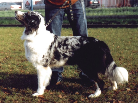 asti18,5m2