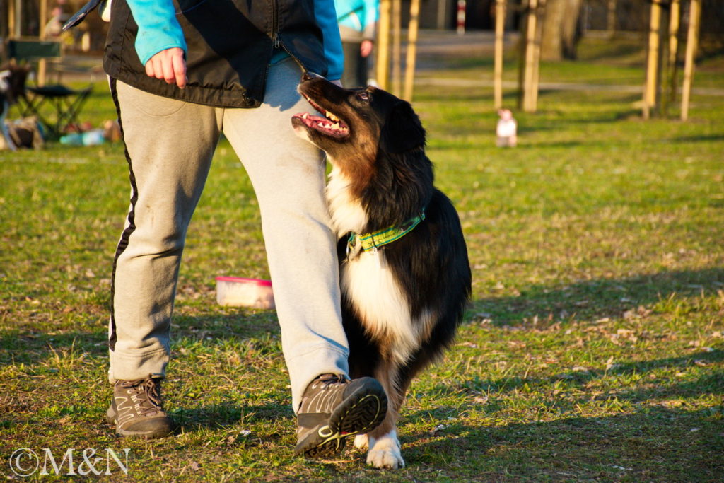 20160402_obi118