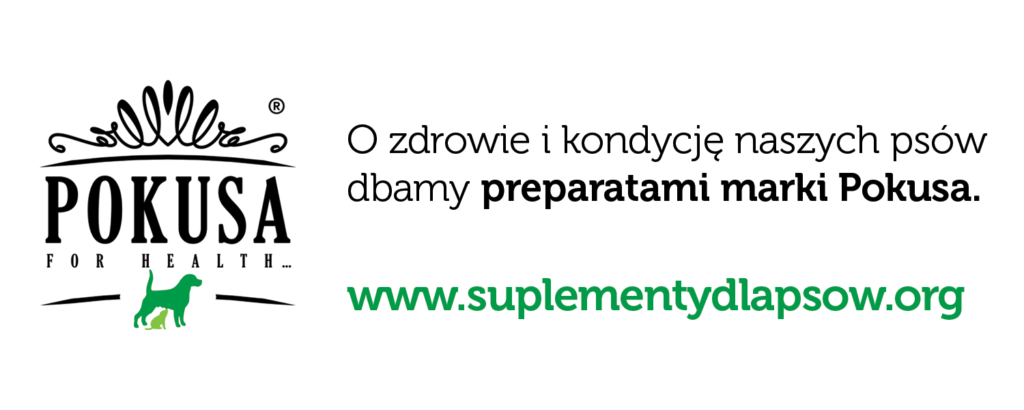 1500x600-psy