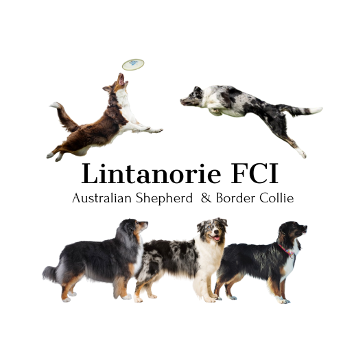 Lintanorie_odOlgiSłowińskiej