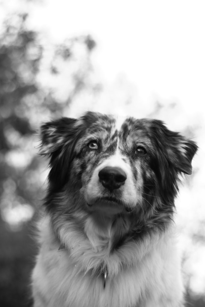 IMG_6487monochromatic