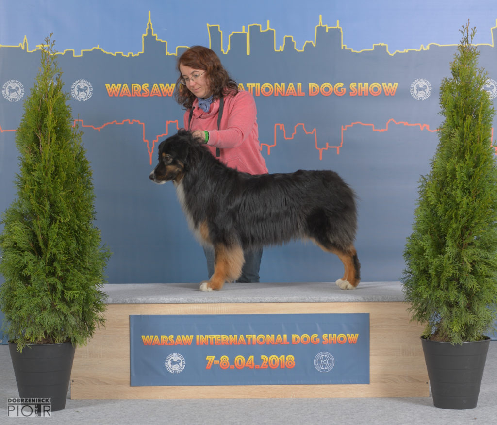 Warsaw International Dog Show 7-8.04.2018-239