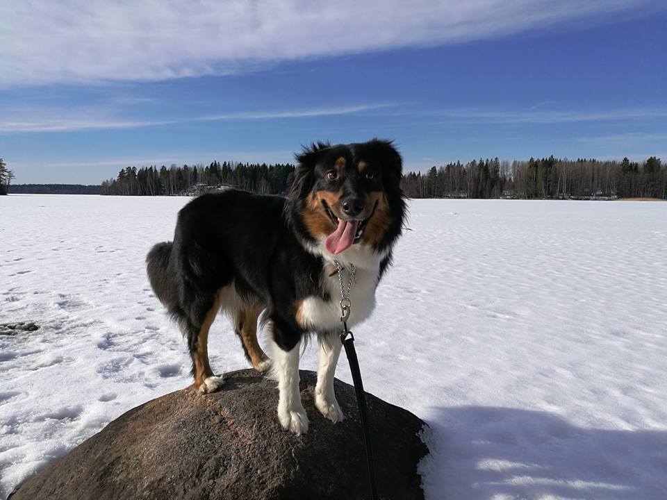 Alma12-3-17_1