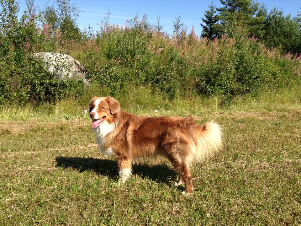 Ted17-7-13