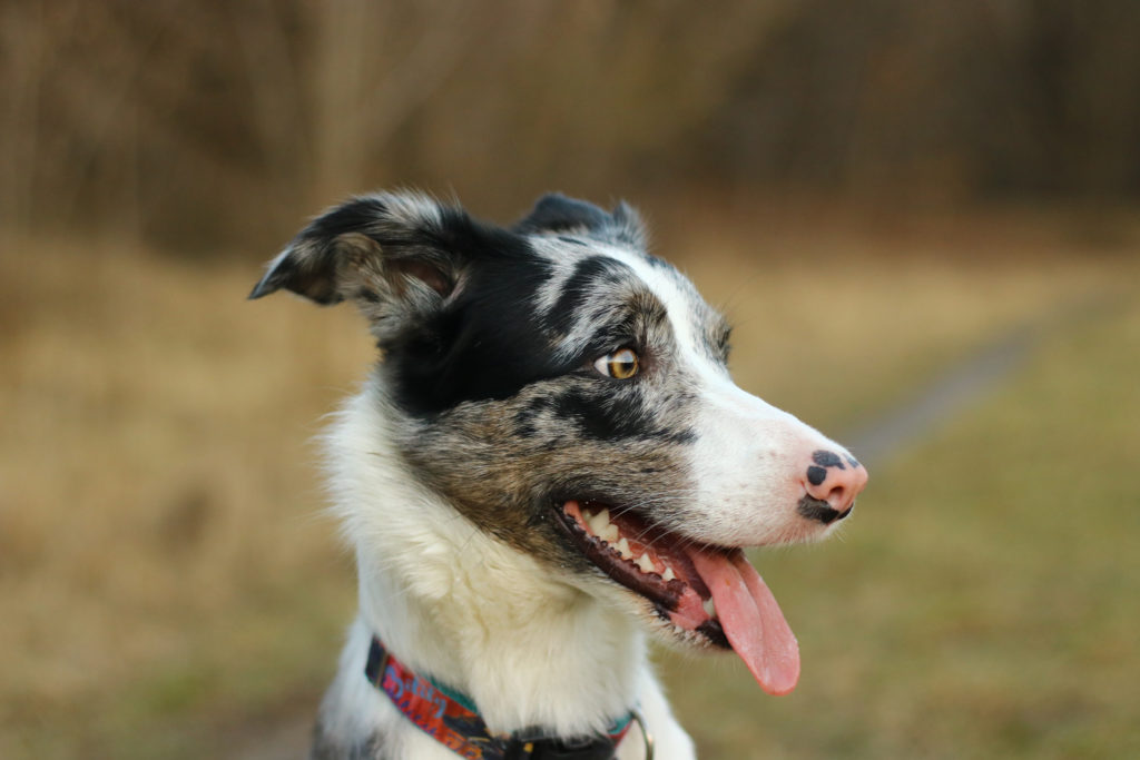 IMG_3039